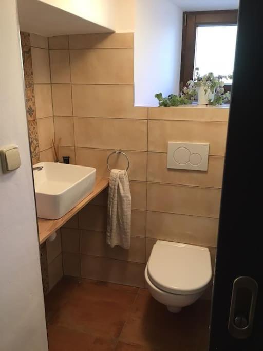 U Zivlu Bed & Breakfast Brlohy Екстериор снимка