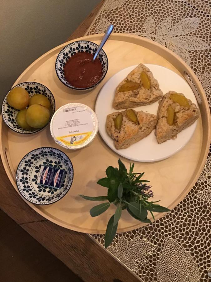 U Zivlu Bed & Breakfast Brlohy Екстериор снимка